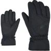 ZIENER LINARD GTX BLACK 23 10